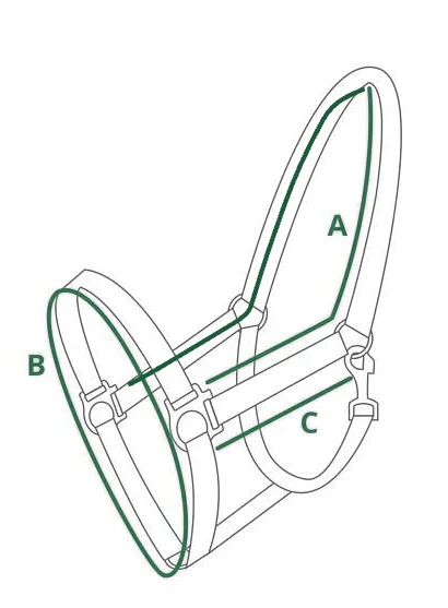 Measuring guide: how to measure a halter